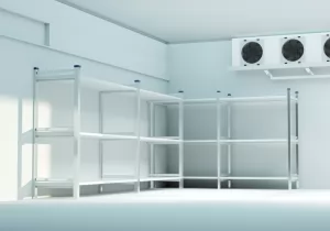 Cold Room Storage: Teknologi Penting dalam Industri dengan Berbagai Kapasitas